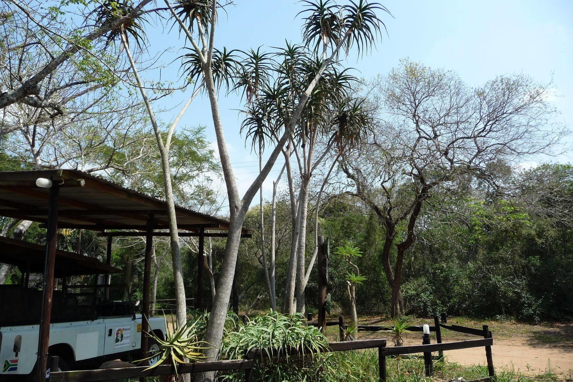 Hotel Isinkwe Backpackers Bushcamp Hluhluwe Exterior foto